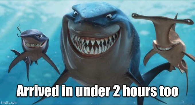 Finding Nemo Sharks | Arrived in under 2 hours too | image tagged in finding nemo sharks | made w/ Imgflip meme maker