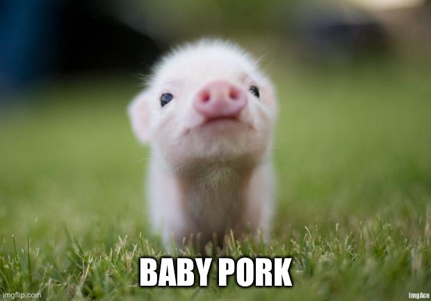Baby Potk | BABY PORK | image tagged in piglet | made w/ Imgflip meme maker