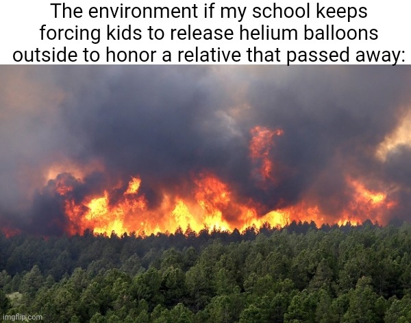 This is ridiculous | The environment if my school keeps forcing kids to release helium balloons outside to honor a relative that passed away: | image tagged in forest fire | made w/ Imgflip meme maker