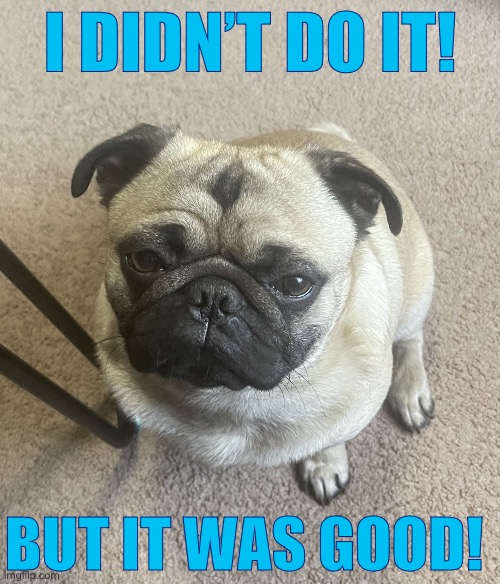 Puggy pug | I DIDN’T DO IT! BUT IT WAS GOOD! | image tagged in puggy pug | made w/ Imgflip meme maker