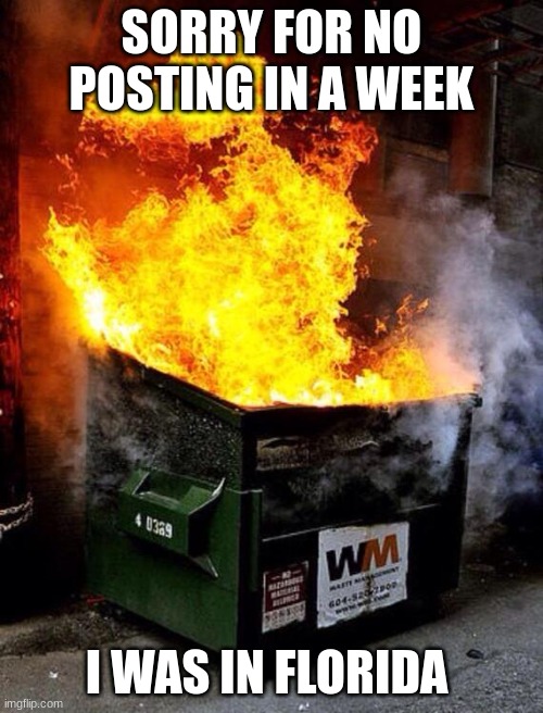 Dumpster Fire | SORRY FOR NO POSTING IN A WEEK; I WAS IN FLORIDA | image tagged in dumpster fire | made w/ Imgflip meme maker