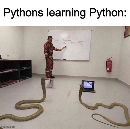 Where the heck did I find this? XD | Pythons learning Python: | made w/ Imgflip meme maker