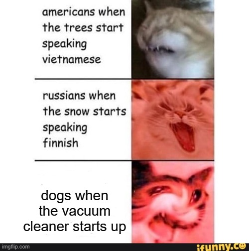 why are dogs like this? | dogs when the vacuum cleaner starts up | image tagged in americans when | made w/ Imgflip meme maker