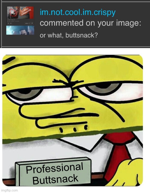 Yahoo. | Professional
Buttsnack | image tagged in spongebob empty professional name tag | made w/ Imgflip meme maker