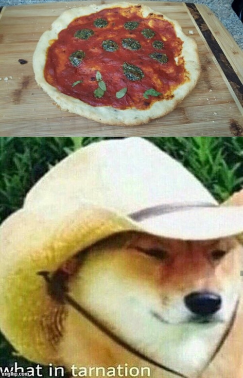 Cheese-less pizza... | image tagged in what in tarnation dog | made w/ Imgflip meme maker