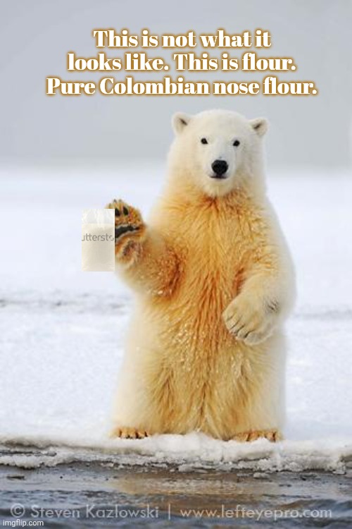 hello polar bear | This is not what it looks like. This is flour. Pure Colombian nose flour. | image tagged in hello polar bear | made w/ Imgflip meme maker