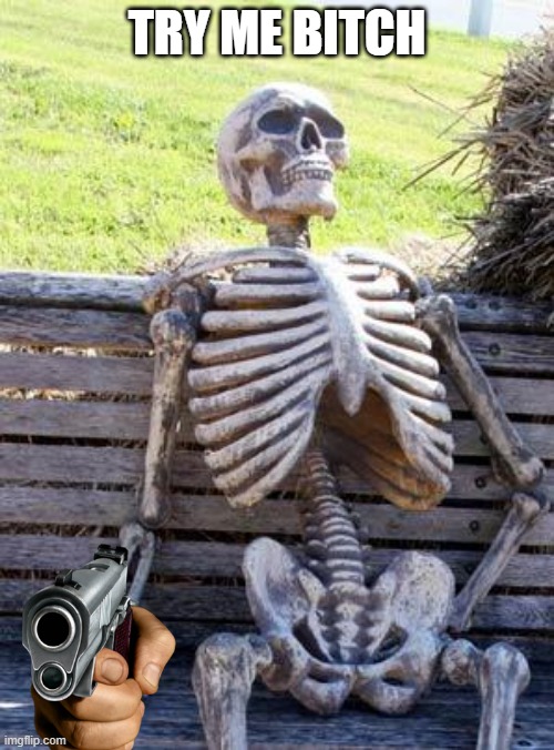 Waiting Skeleton | TRY ME BITCH | image tagged in memes,waiting skeleton | made w/ Imgflip meme maker