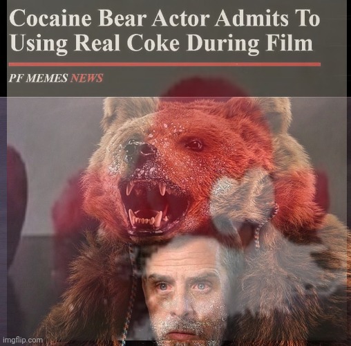 My lawyer has advised me not to elaborate | image tagged in lawyer,cocaine,bear | made w/ Imgflip meme maker