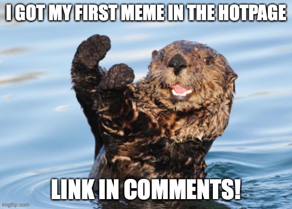 My first one im so happy! | I GOT MY FIRST MEME IN THE HOTPAGE; LINK IN COMMENTS! | image tagged in otter celebration | made w/ Imgflip meme maker