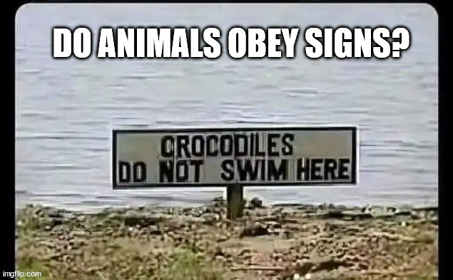 English truly is a universal language | DO ANIMALS OBEY SIGNS? | image tagged in english,universal,language,eye roll | made w/ Imgflip meme maker