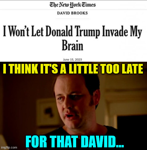 Trump derangement syndrome is real... first symptom is they don't know they have it... | I THINK IT'S A LITTLE TOO LATE; FOR THAT DAVID... | image tagged in jake from state farm,tds,when you realize | made w/ Imgflip meme maker