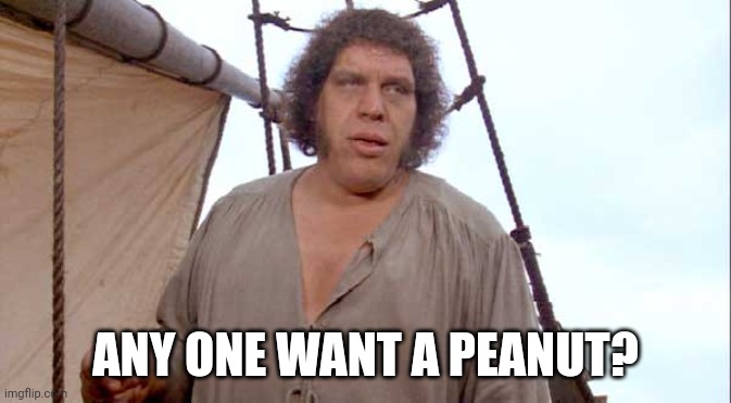 Rhyming | ANY ONE WANT A PEANUT? | image tagged in princess bride anyone want a peanut | made w/ Imgflip meme maker