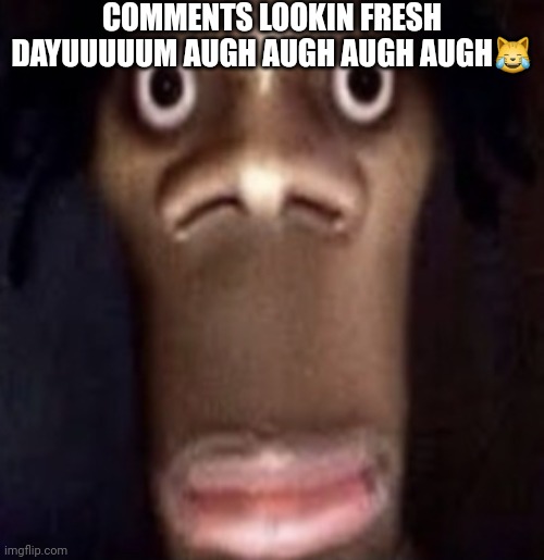 Quandale dingle | COMMENTS LOOKIN FRESH DAYUUUUUM AUGH AUGH AUGH AUGH😹 | image tagged in quandale dingle | made w/ Imgflip meme maker