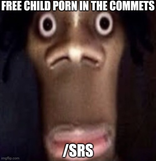 Quandale dingle | FREE CHILD PORN IN THE COMMETS; /SRS | image tagged in quandale dingle | made w/ Imgflip meme maker