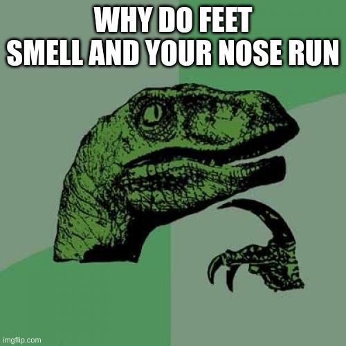 Feet smeel nose run | WHY DO FEET SMELL AND YOUR NOSE RUN | image tagged in memes,philosoraptor | made w/ Imgflip meme maker