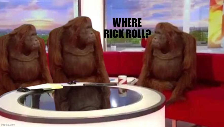 where monkey | WHERE RICK ROLL? | image tagged in where monkey | made w/ Imgflip meme maker