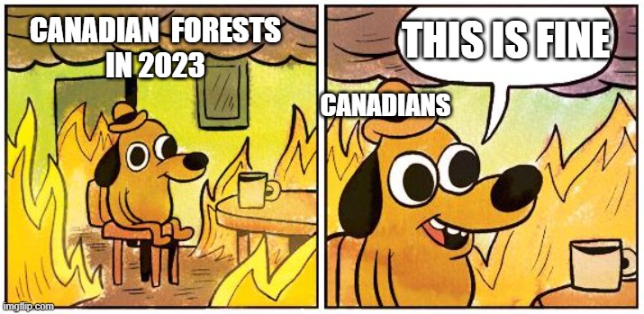 This is Fine (Blank) | THIS IS FINE; CANADIAN  FORESTS
IN 2023; CANADIANS | image tagged in this is fine blank | made w/ Imgflip meme maker