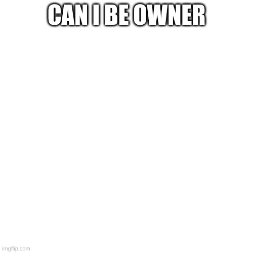 Blank Transparent Square Meme | CAN I BE OWNER | image tagged in memes,blank transparent square | made w/ Imgflip meme maker