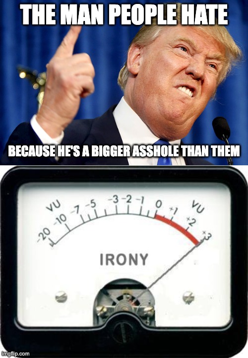 THE MAN PEOPLE HATE; BECAUSE HE'S A BIGGER ASSHOLE THAN THEM | image tagged in donald trump,irony meter,trump is an asshole,irony,hypocrites,hypocrisy | made w/ Imgflip meme maker