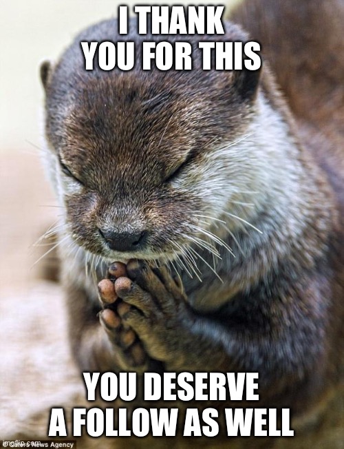 Thank you Lord Otter | I THANK YOU FOR THIS YOU DESERVE A FOLLOW AS WELL | image tagged in thank you lord otter | made w/ Imgflip meme maker