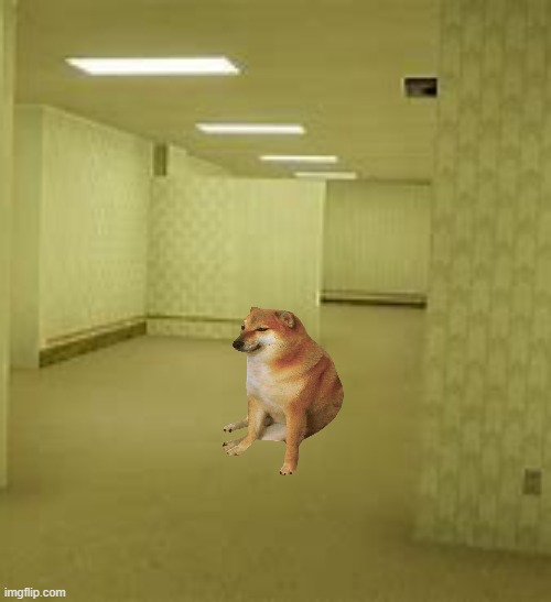 Backrooms Memes Imgflip