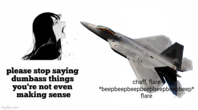 uhh idk i thought it was funny i don't know what noise they actually make. | chaff, flare *beepbeepbeepbeepbeepbeepbeep* flare | image tagged in f22 raptor | made w/ Imgflip meme maker