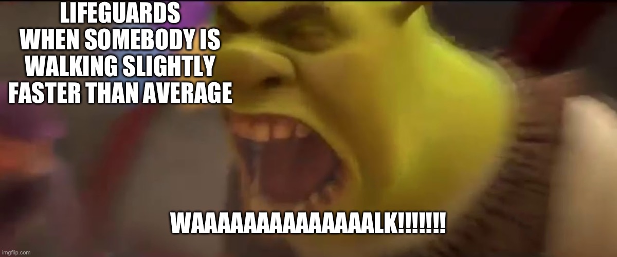 Basically | LIFEGUARDS WHEN SOMEBODY IS WALKING SLIGHTLY FASTER THAN AVERAGE; WAAAAAAAAAAAAAALK!!!!!!! | image tagged in shrek screaming | made w/ Imgflip meme maker