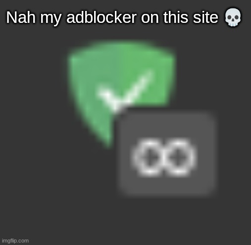 Nah my adblocker on this site 💀 | made w/ Imgflip meme maker