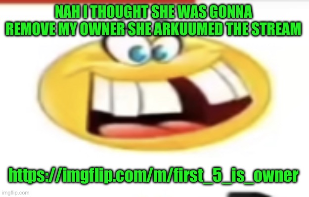 Happy yet cursed | NAH I THOUGHT SHE WAS GONNA REMOVE MY OWNER SHE ARKUUMED THE STREAM; https://imgflip.com/m/first_5_is_owner | image tagged in happy yet cursed | made w/ Imgflip meme maker