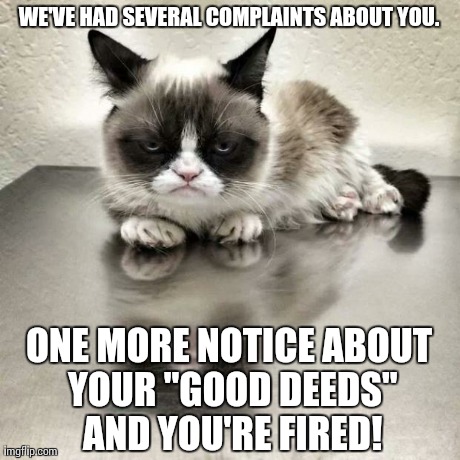 Grumpy cat office | WE'VE HAD SEVERAL COMPLAINTS ABOUT YOU. ONE MORE NOTICE ABOUT YOUR "GOOD DEEDS" AND YOU'RE FIRED! | image tagged in grumpy cat office,grumpy cat,memes | made w/ Imgflip meme maker