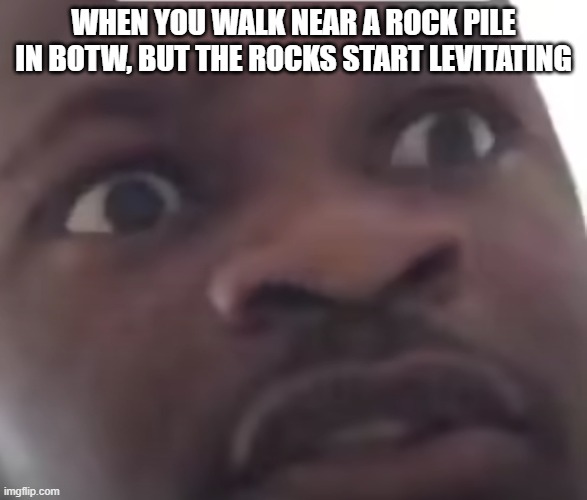 Your first encounter with Stone Talus Breath of The Wild | WHEN YOU WALK NEAR A ROCK PILE IN BOTW, BUT THE ROCKS START LEVITATING | image tagged in scared black guy meme,the legend of zelda breath of the wild,gaming,video games,memes | made w/ Imgflip meme maker