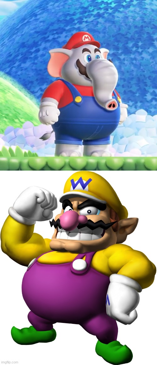 Elephant Mario vs Wario (Who would win) | image tagged in elephant mario,wario | made w/ Imgflip meme maker