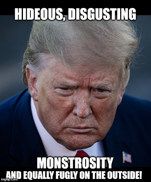 Fugly Orange Hitler | HIDEOUS, DISGUSTING; MONSTROSITY; AND EQUALLY FUGLY ON THE OUTSIDE! | image tagged in fugly orange hitler | made w/ Imgflip meme maker