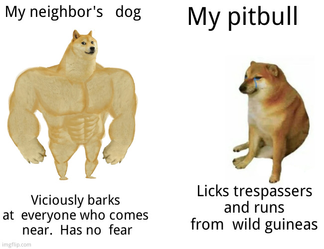 I'm gonna call it  a s*** bull | My neighbor's   dog; My pitbull; Licks trespassers and runs from  wild guineas; Viciously barks at  everyone who comes   near.  Has no  fear | image tagged in memes,buff doge vs cheems,funny | made w/ Imgflip meme maker