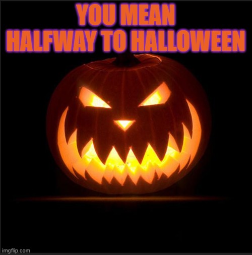halloween | YOU MEAN HALFWAY TO HALLOWEEN | image tagged in halloween | made w/ Imgflip meme maker