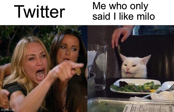 Woman Yelling At Cat | Twitter; Me who only said I like milo | image tagged in memes,woman yelling at cat | made w/ Imgflip meme maker