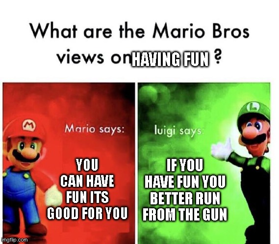 Mario Bros Views | HAVING FUN; YOU CAN HAVE FUN ITS GOOD FOR YOU; IF YOU HAVE FUN YOU BETTER RUN FROM THE GUN | image tagged in mario bros views | made w/ Imgflip meme maker