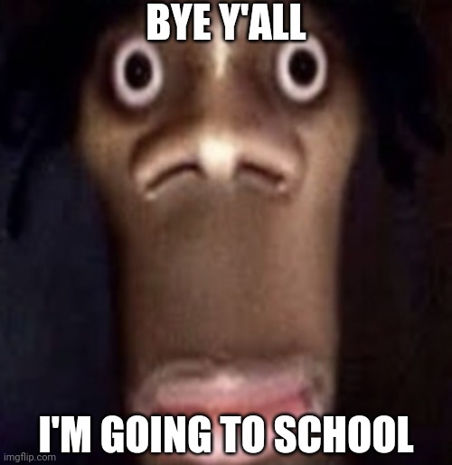 Quandale dingle | BYE Y'ALL; I'M GOING TO SCHOOL | image tagged in quandale dingle | made w/ Imgflip meme maker