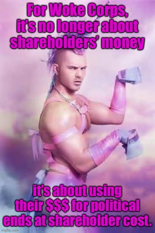 Gay Unicorn | For Woke Corps, it’s no longer about shareholders’ money it’s about using their $$$ for political ends at shareholder cost. | image tagged in gay unicorn | made w/ Imgflip meme maker