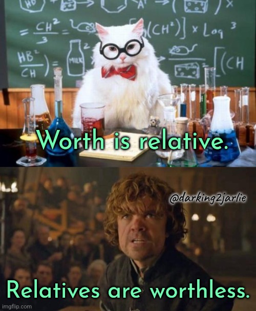 Relatively speaking | Worth is relative. @darking2jarlie; Relatives are worthless. | image tagged in memes,chemistry cat,tyrion lannister trial,game of thrones,science,cats | made w/ Imgflip meme maker