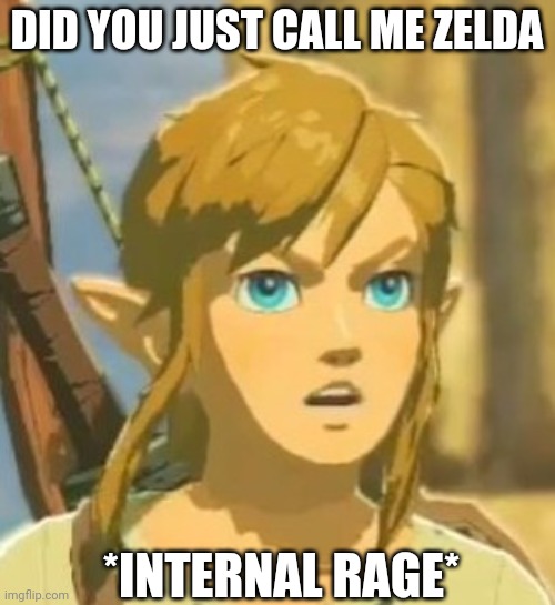 Offended Link | DID YOU JUST CALL ME ZELDA; *INTERNAL RAGE* | image tagged in offended link | made w/ Imgflip meme maker