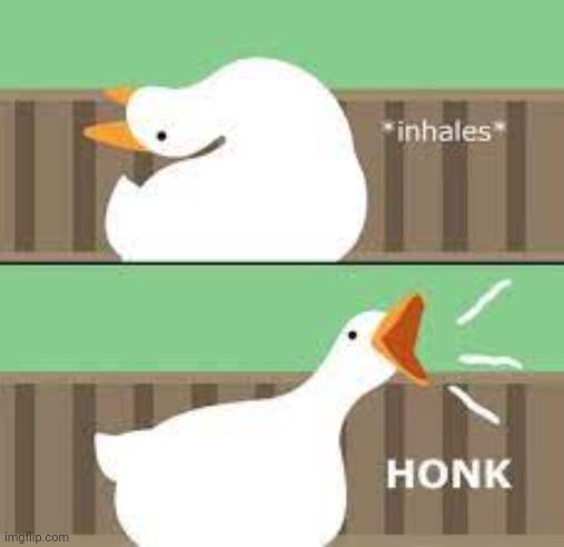 *intense honk* | image tagged in goose,honk | made w/ Imgflip meme maker
