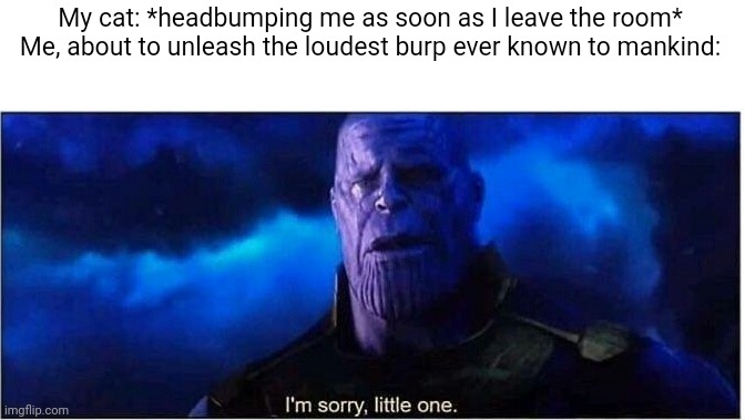 Thanos I'm sorry little one | My cat: *headbumping me as soon as I leave the room*
Me, about to unleash the loudest burp ever known to mankind: | image tagged in thanos i'm sorry little one,cats | made w/ Imgflip meme maker