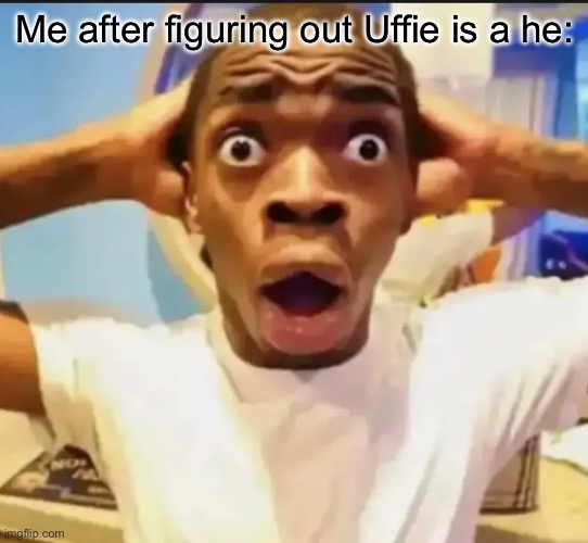 (I thought he already shredded his last dignity by simping for a robot and being a furry but now he’s gay?) | Me after figuring out Uffie is a he: | image tagged in surprised black guy | made w/ Imgflip meme maker