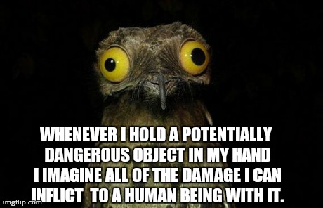 It's considered a tool; for I am the weapon. | WHENEVER I HOLD A POTENTIALLY DANGEROUS OBJECT IN MY HAND I IMAGINE ALL OF THE DAMAGE I CAN INFLICT  TO A HUMAN BEING WITH IT. | image tagged in memes,weird stuff i do potoo | made w/ Imgflip meme maker