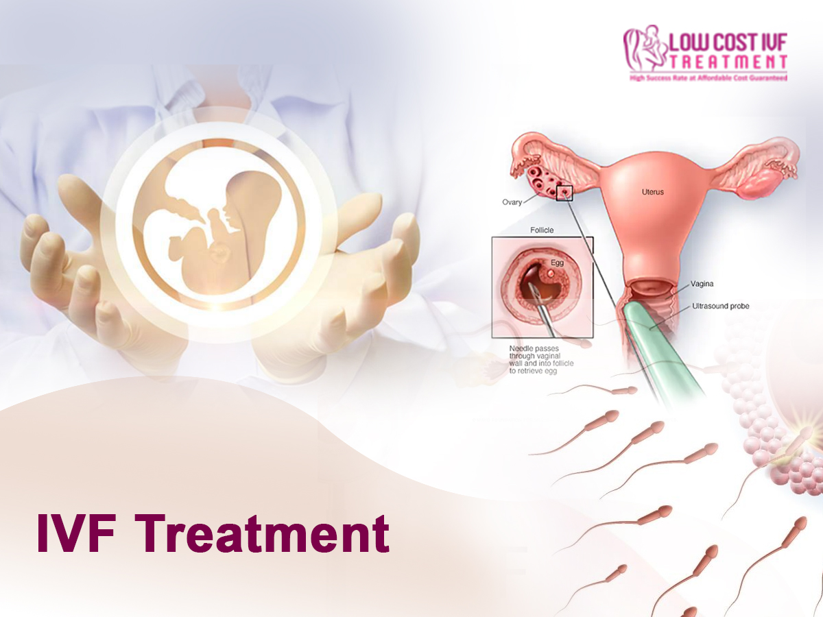 Lowcostivftreatment Blank Meme Template
