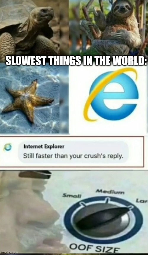 Oof | SLOWEST THINGS IN THE WORLD: | image tagged in oof,internet,internet explorer so slow,internet explorer,why are you reading the tags | made w/ Imgflip meme maker