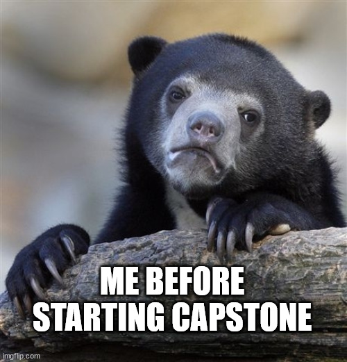 Confession Bear | ME BEFORE STARTING CAPSTONE | image tagged in memes,confession bear | made w/ Imgflip meme maker