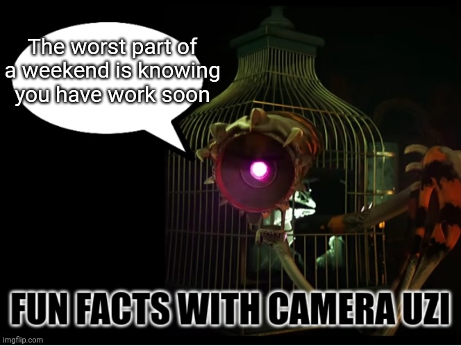 Fun Facts with Camera Uzi | The worst part of a weekend is knowing you have work soon | image tagged in fun facts with camera uzi | made w/ Imgflip meme maker