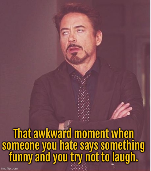 Awkward moments | That awkward moment when someone you hate says something funny and you try not to laugh. | image tagged in memes,face you make robert downey jr,someone you hate,say something funny,trying not to laugh,fun | made w/ Imgflip meme maker